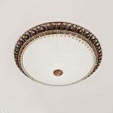 Светильник Citilux CL425503