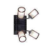 Спот Citilux Робин CL535541