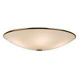 Светильник Citilux CL911602