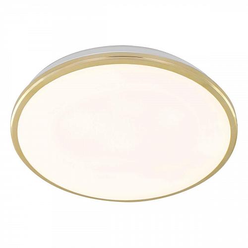 Потолочный светодиодный светильник Citilux Луна CL702302W