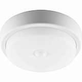 Потолочный светодиодный светильник Feron AL3006 29610