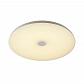 Потолочный светодиодный светильник Sonex Vasta led Roki muzcolor 4629/EL - фото №1