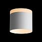 Потолочный светодиодный светильник ST Luce Panaggio ST102.502.12 - фото №2