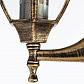 Уличный настенный светильник Arte Lamp Pegasus A3151AL-1BN - фото №2