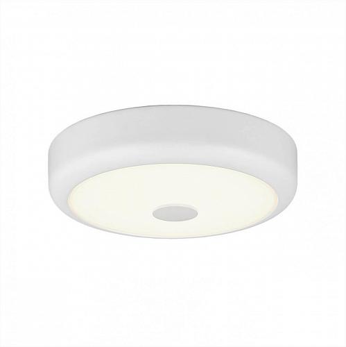 Потолочный светодиодный светильник Citilux Фостер-1 CL706120