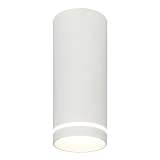 Потолочный светодиодный светильник Escada 20009SMU/02LED SWH