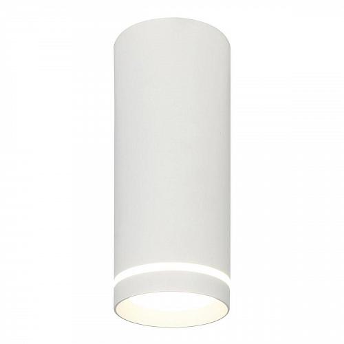 Потолочный светодиодный светильник Escada 20009SMU/02LED SWH