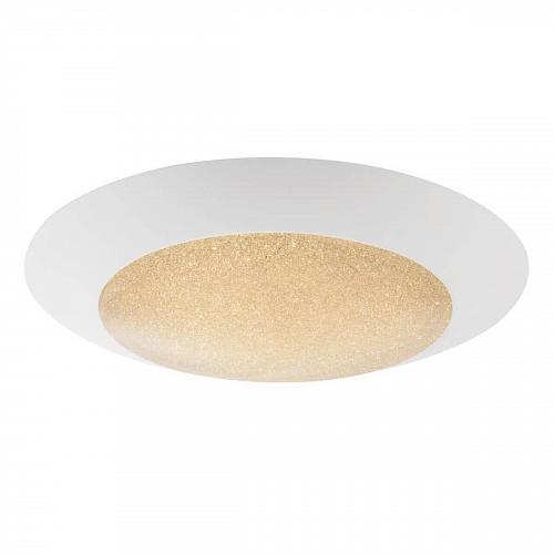 Потолочный светодиодный светильник Globo Mio 49002-37