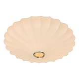 Потолочный светильник Arte Lamp Cocoon A6090PL-2WH
