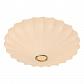 Потолочный светильник Arte Lamp Cocoon A6090PL-2WH - фото №1