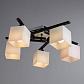 Потолочная люстра Arte Lamp 52 A8165PL-5BK - фото №4