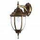 Уличный настенный светильник Arte Lamp Pegasus A3152AL-1BN - фото №1