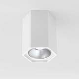 Потолочный светодиодный светильник Elektrostandard 25036/Led a055856