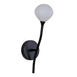 Бра Favourite 2688-1W