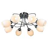 Потолочная люстра Omnilux Calevace OML-54307-08