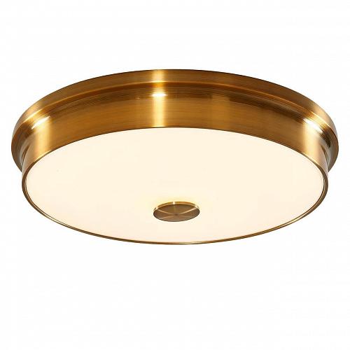 Потолочный светодиодный светильник Citilux Фостер-2 CL706232