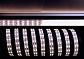 Лента светодиодная Deko-Light 5050-2x60-24V-3000K-3m 840069 - фото №1