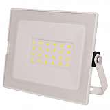 Прожектор ЭРА LPR-031-0-65K-020