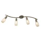 Спот Citilux CL524541