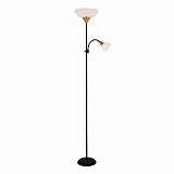 Торшер Arte Lamp Duetto A9569PN-2BK