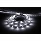 Светодиодная лента Feron 7,2W/m 30LED/m 5050SMD холодный белый 5M LS606 27641 - фото №1