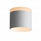 Потолочный светодиодный светильник ST Luce Panaggio ST102.502.12 - фото №1