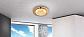 Потолочный светодиодный светильник Globo Froo 48247 - фото №2