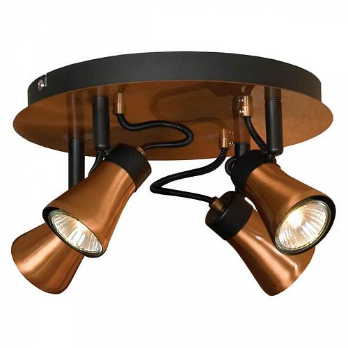 Спот Lussole Loft GRLSL-6801-04