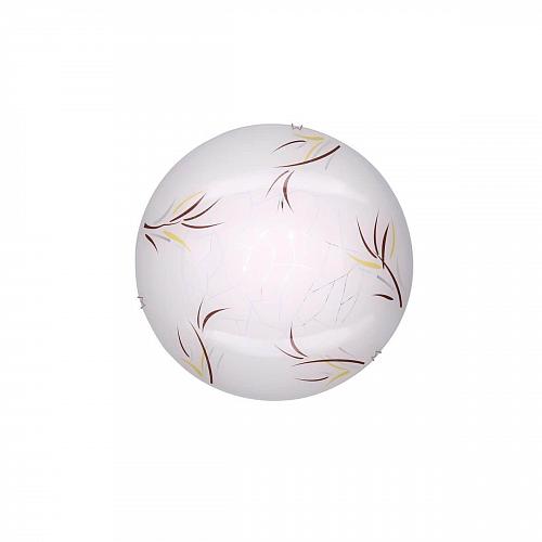 Настенный светильник Citilux Ива CL917009