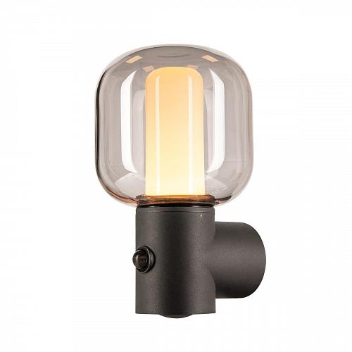 Уличный настенный светодиодный светильник SLV Ovalisk WL 1004679