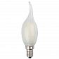 Лампа светодиодная филаментная ЭРА E14 5W 2700K матовая F-LED BXS-5W-827-E14 frost Б0027927 - фото №1