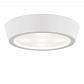 Потолочный светильник Lightstar Urbano Mini LED 214704 - фото №1