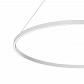 Подвесной светодиодный светильник Maytoni Rim MOD058PL-L65W4K - фото №2