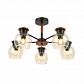 Потолочная люстра Evoluce Rasco SLE108102-05 - фото №3
