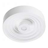 Потолочный светодиодный светильник Escada 10218/S LED