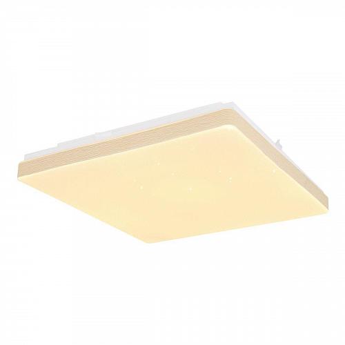 Потолочный светодиодный светильник Globo Raina 48296W