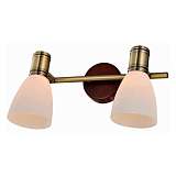 Спот Toplight TL3720Y-02BB