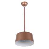 Подвесной светильник Arti Lampadari Tempo E 1.3.P1 BR