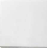 Лицевая панель Gira System 55 выключателя одноклавишного чисто-белый шелковисто-матовый 029627