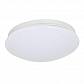 Потолочный светодиодный светильник F-Promo Ledante 2469-2C - фото №1