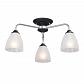 Потолочная люстра Vitaluce V3946-1/3PL - фото №1