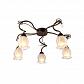 Потолочная люстра Arte Lamp 83 A7449PL-5BR - фото №4