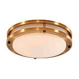 Светильник Citilux CL709153