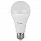 Лампа светодиодная ЭРА E27 25W 6500K матовая LED A65-25W-865-E27 R Б0048011 - фото №1