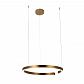 Подвесной светодиодный светильник Loft IT Ring 10013L - фото №1