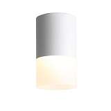 Светильник ST Luce ST100.502.10