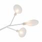 Потолочная люстра Freya Florencia FR5049CL-36W1 - фото №5