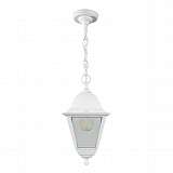 Уличный подвесной светильник Feron Классика НСУ 0460001 32269