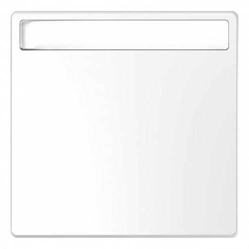 Клавиша одинарная Schneider Electric Merten D-Life MTN3360-6035