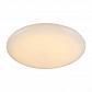 Потолочный светодиодный светильник ST Luce Inse SL875.062.01 - фото №1